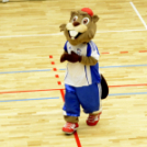 MKC SE – Alba Fehérvár KC 29-31 (17-13)