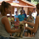 XII. Szigetköz ízei, Vármegye borai Fesztivál 3. nap