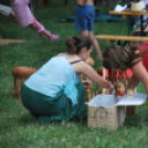 2 Kéklámpás nap (Fotó: Nagy Mária)