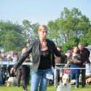 CAC kutyakiállítás (Fotó: Nagy Mária)