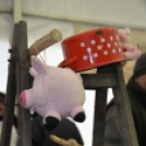 V. KOLBÁSZTÖLTŐ VERSENY ÉS FESZTIVÁL 