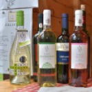 Szigetköz Ízei, Vármegye borai Fesztivál (péntek) (Fotó: Horváth Attila)