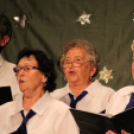 Nyugdíjas Ki-Mit-Tud  ( Fotó: Markó Bernadett )