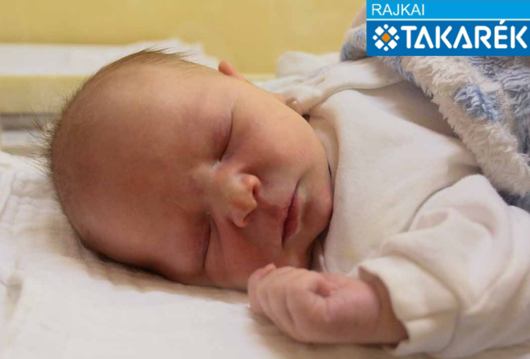 Kiss Márton, Mosonmagyaróvár