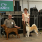 XII. Szigetköz ízei, Vármegye borai Fesztivál 3. nap