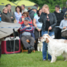 CAC kutyakiállítás (Fotó: Nagy Mária)
