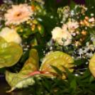 Nők a Városért 20 éves Jubileumi Gála (Fotó: Stipkovits Veronika)