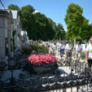 Entente Florale Day Mosonmagyaróvár - Virágzó Város Mosonmagyaróvár (Fotó: Bánhegyi István)