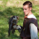 XII. Szigetköz ízei, Vármegye borai Fesztivál 2. nap