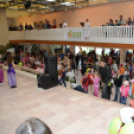 2014 Sport és Egészségnap