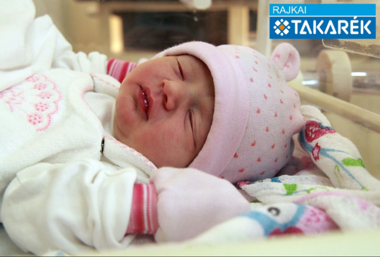 Ádám Hanna, Mosonmagyaróvár