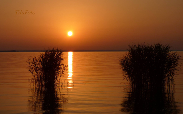 Kerekesszéktől az önálló fotókiállításig
