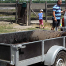 Pillangó Óvoda lovas nap és piknik (Fotó: Stipkovits Veronika)