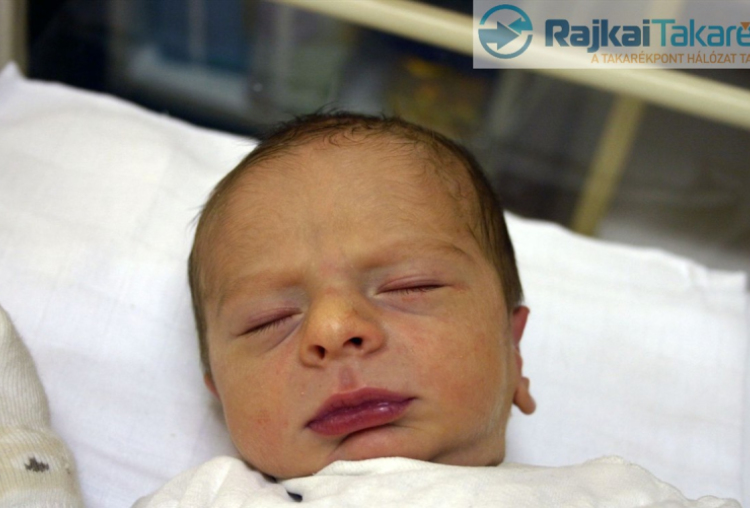 Mészáros Noel Tibor, Rajka