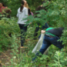 Szemétszedés a Kiserdőben (Fotó: Nagy Mária)