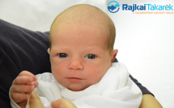 Horváth Zsombor, 3020 gr. Sopron