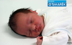 Szilágyi Szófia, Jánossomorja