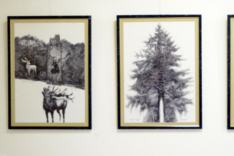 KORTÁRS MŰVÉSZETI PANORÁMA – KOMP 2017