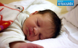 Nagy Szófia Szonja, Halászi