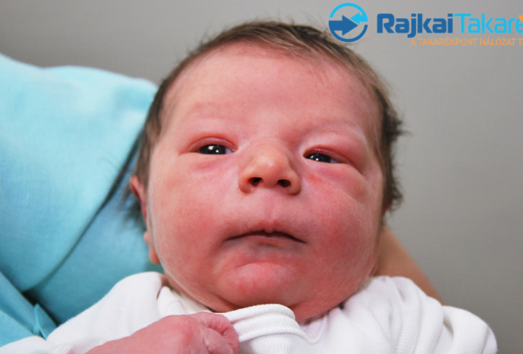 Szabó Zalán Kende, 2920 gr. Újrónafő