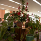 Termény- és virágkiállítás 