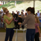 XII. Szigetköz ízei, Vármegye borai Fesztivál 3. nap