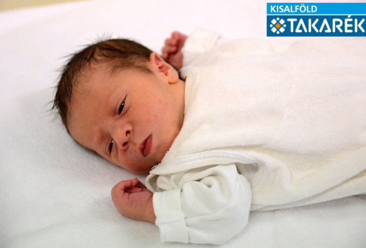 Kovacsics Noé, Darnózseli