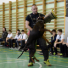 Az ókor titkai című történelmi vetélkedő