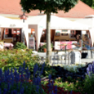 Virágzó Város Mosonmagyaróvár 1. nap KULT-UTCA (Fotó: Bánhegyi István) 