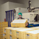 Újabb korszerű üzemcsarnokkal bővült a Nolato Magyarország gyárterülete