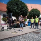 Apró kezek, Csodakertek - IX. Gyermek Kertépítő Verseny