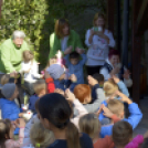 Pillangó Óvoda és Mini Bölcsőde családi nap az Alma együttessel 