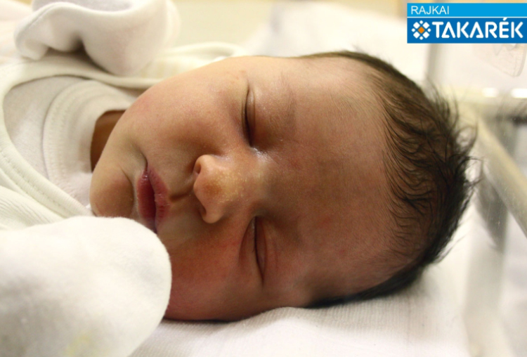 Kovács Maja, Mosonmagyaróvár