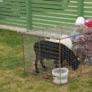 A Pillangó Óvoda és Mini Bölcsöde közös húsvétolása a Mosonmagyaróvári Mentőszolgálat gyermekeivel