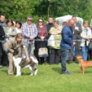 CAC kutyakiállítás (Fotó: Nagy Mária)