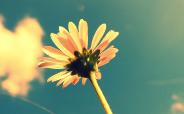 Napsütéses meleg idő várható szeptember utolsó napjaiban