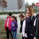 Kőrisfacsemetéket ültettek a diákok a Nolato Magyarország Kft telephelyén