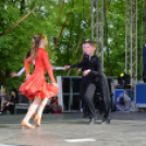 Városi Majális 2016 (Fotó: Bánhegyi István)