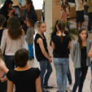 Nyárcsalogató (Fotó: Nagy Mária)