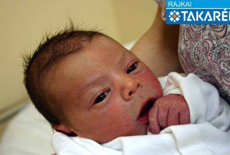 Kovács Tamás, Mosonmagyaróvár