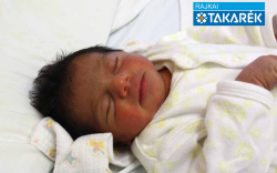 Kovács Imola, Mosonmagyaróvár