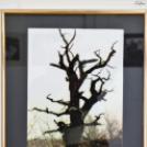 Szűk Ödön emlékkiállítás megnyítója