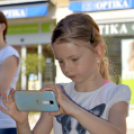 VII. Apró kezek, csodakertek Gyermek Kertépítő verseny