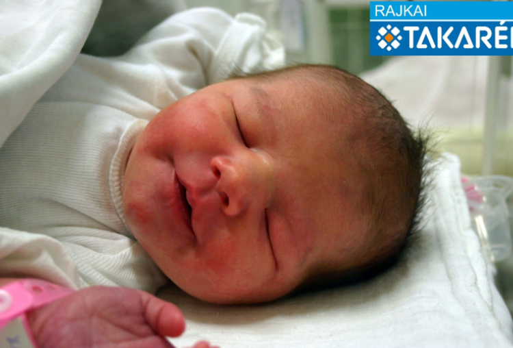 Kovács Dorina, Csorna