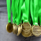 XII. Greiner Szigetköz Minimaraton (Fotó: Horváth Attila)