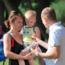 2 Kéklámpás nap (Fotó: Nagy Mária)