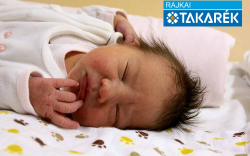 Horváth Léna, Mosonmagyaróvár