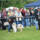 CAC kutyakiállítás (Fotó: Nagy Mária)