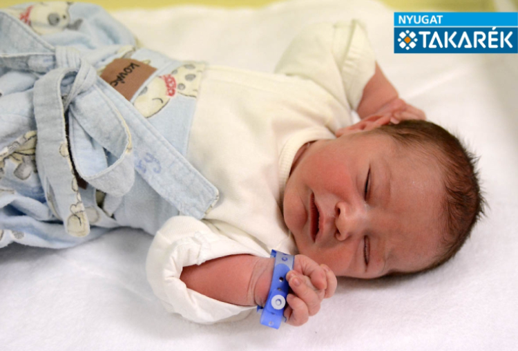 Kovács Milán József, Mosonmagyaróvár