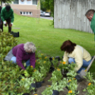 Virágosítás a városközpontban